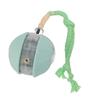 Interactive Cat Toy   Automatic Moving Throwing Rolling Pet Smart   with Rope for Dog Play