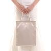 Aurora Premium Japanese-Made Satin Sub-Bag with Gusset, Fits A4 Sizes, Perfect for Weddings, Parties, Entrance Ceremonies, and Graduations (Beige)