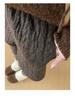 Korean Style High-Waisted Women's A-Line Bootcut Shorts - Winter 2026