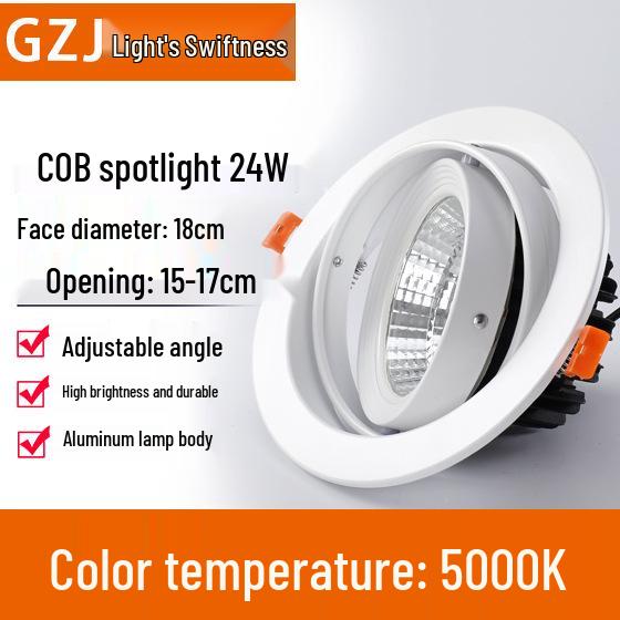 Recessed 20W Spotlight Downlight for Clothing Stores, 15-30W Commercial Ceiling Light