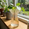 Modern Vertical Striped Hydroponic Vase Transparent Colored Decorative Vase Minimalist Glass Vase Table Decoration