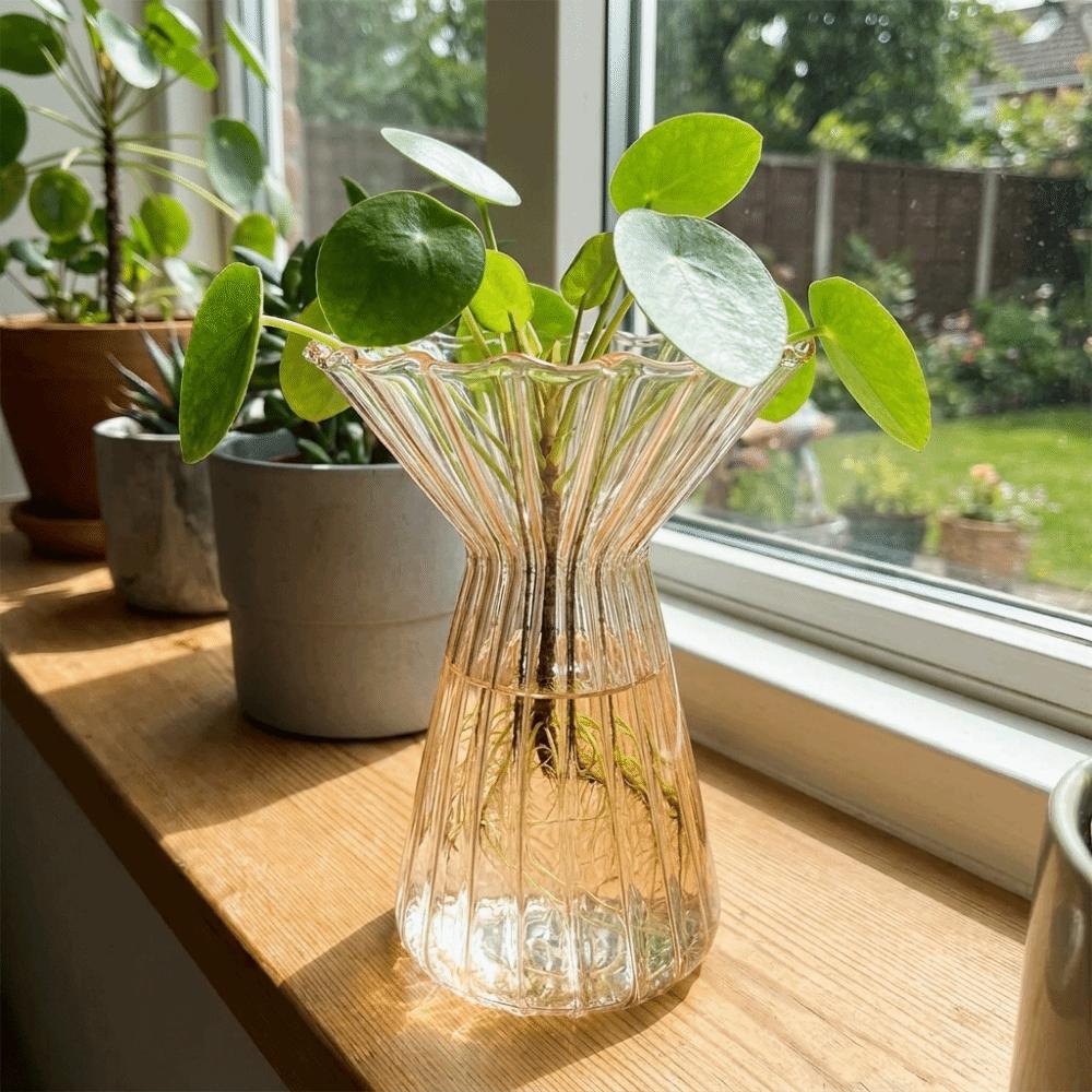 Modern Vertical Striped Hydroponic Vase Transparent Colored Decorative Vase Minimalist Glass Vase Table Decoration
