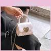 Stylish New 2024 Spring Summer Women's Small Square Jelly Bag With Chain Design In Various Colors