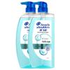 Head & Shoulders Anti-Dandruff Oil Control Shampoo
