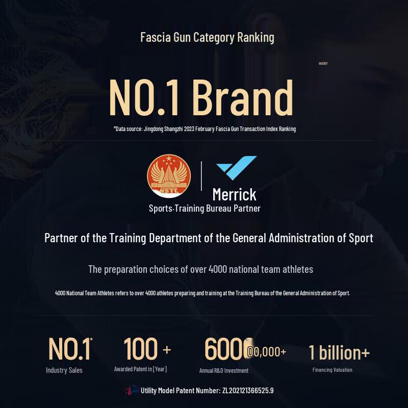 MERACH 9D1C Deep Tissue Massage Gun CN plug (adapter included)