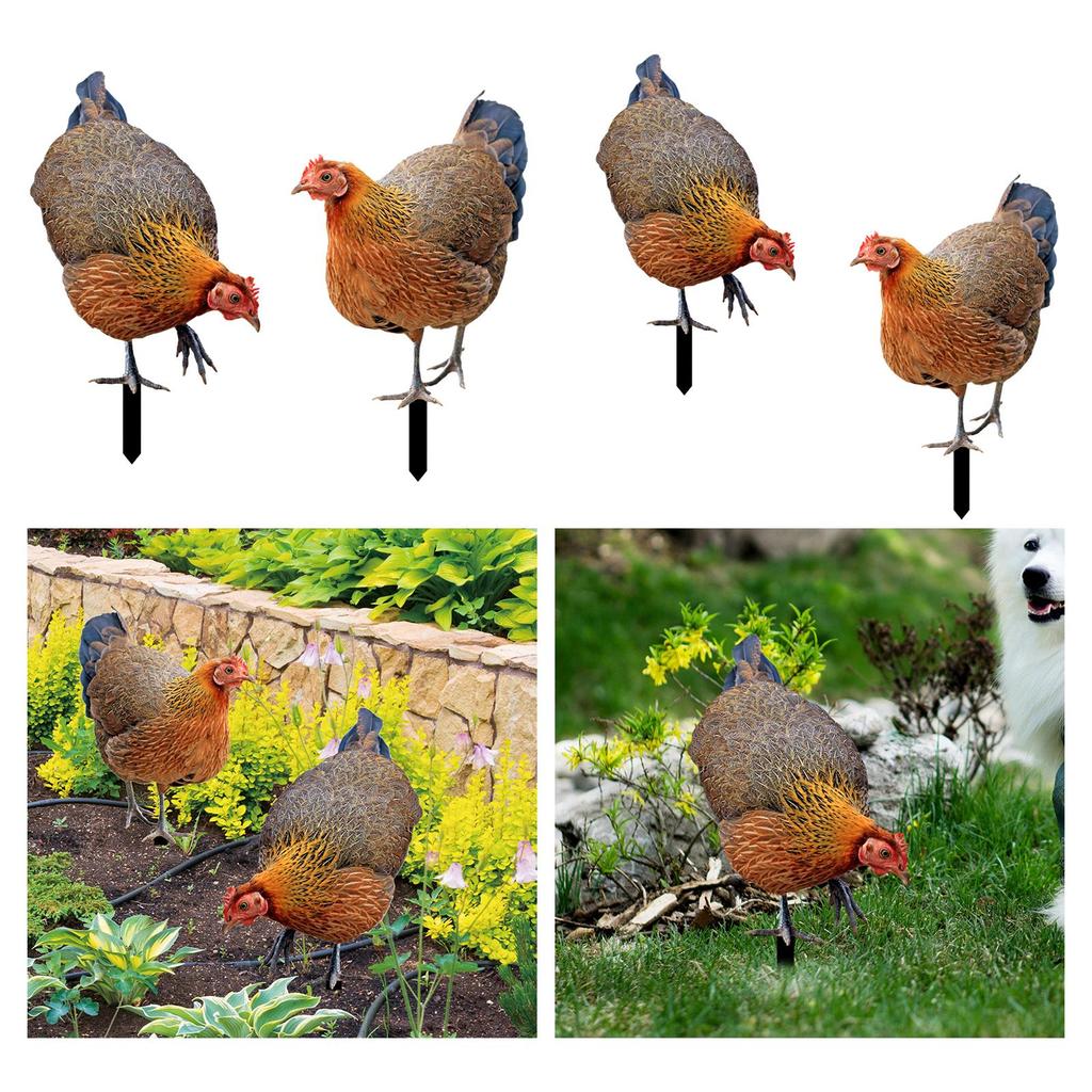 Rooster Yard Stake Hen Realistic Chicken Sculpture for Farm Pathway Patio