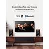 HiVi M5A Powered Bookshelf Speakers with Diva Stand (CN Version)