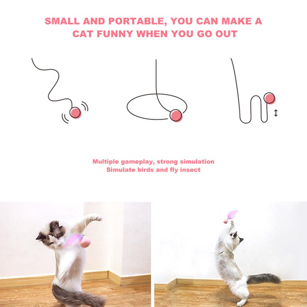Interaktiver Katzen-Teaser zum Trainieren Katze Teaserstab Einziehbar Kätzchen Feder Spielzeug mit Ball