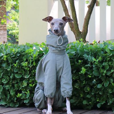 Wasserdichte Hunderegenjacke Italienischer Greyhound Whippet Jacke Sonnenschutz Verstellbar Hoher Kragen Reißverschluss Haustier-Regenmantel Outdoor-Spaziergang
