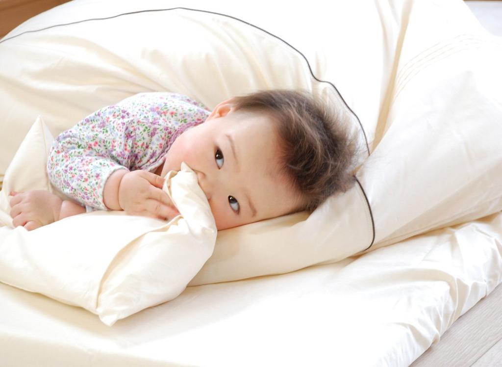 Made In Japan Organic Cotton Futon Cover for Baby Futon 70 X 120cm