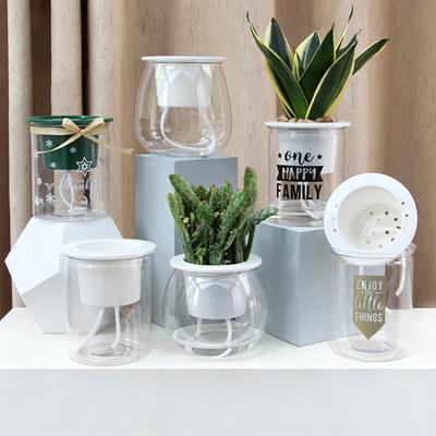Self Watering Plant Pot Flower Pot with Transparent Reservoir Clear Self Watering Planter for Indoor Plants Flowers African Violets