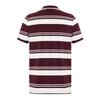canterbury Men's Engineered Striped Polo Shirt