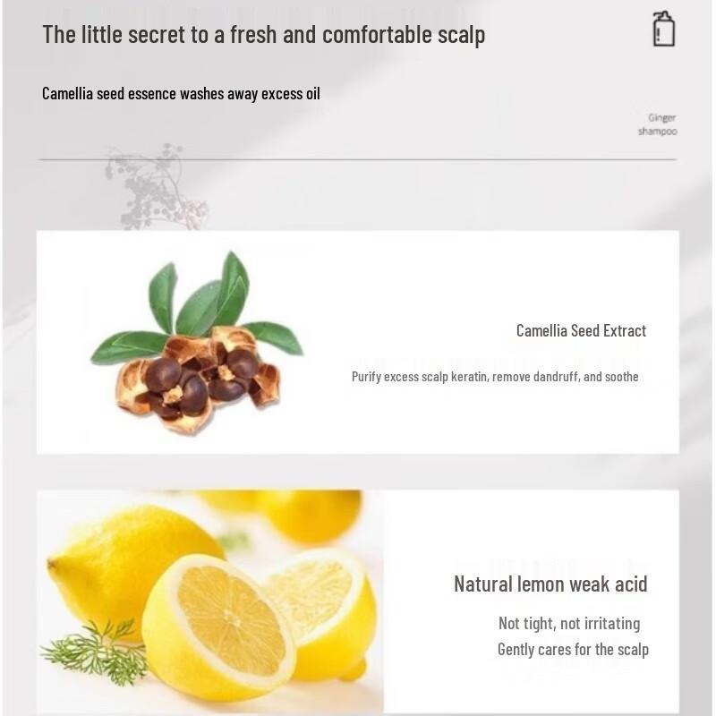 Sen Zhi Lu Camellia Seed Oil Control Shampoo