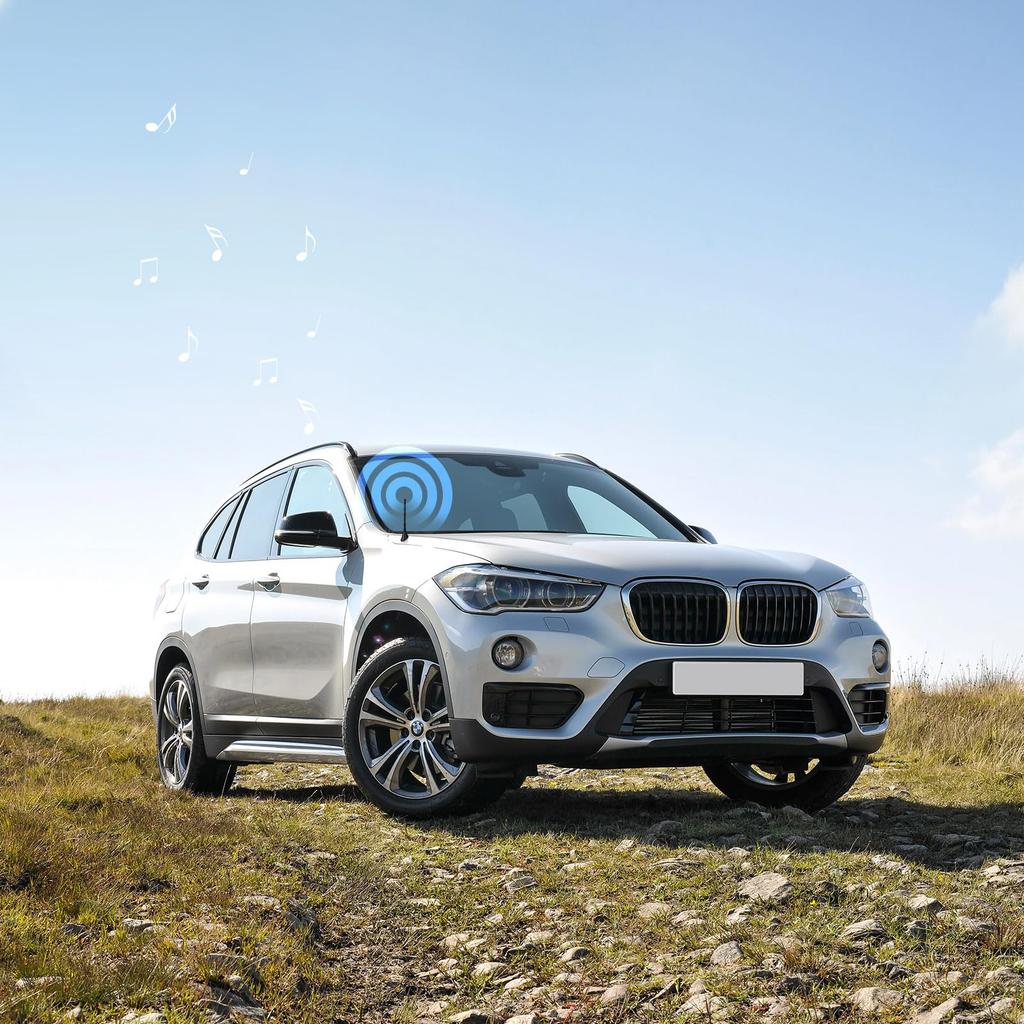 BINGFU Car Stereo AM FM Radio Antenna, Car Truck Stereo Receiver Host FM HD