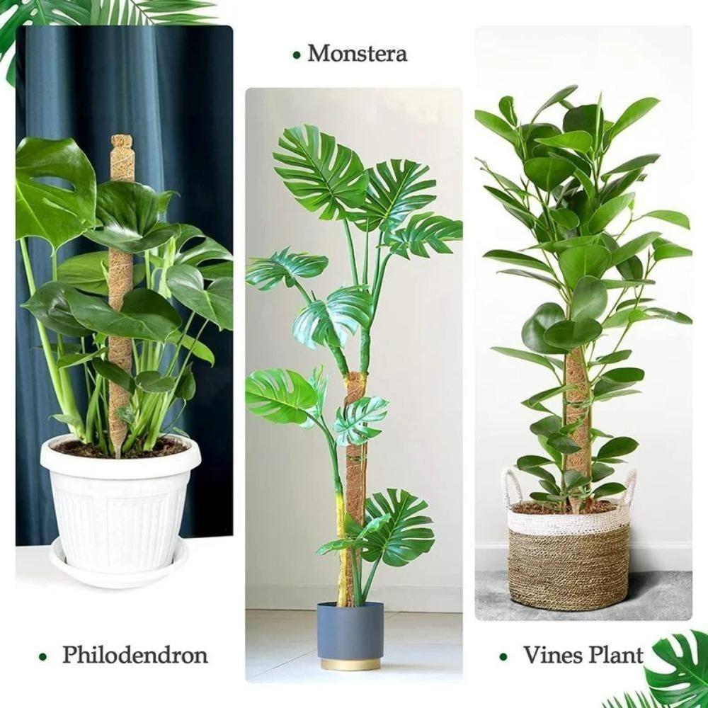 Diy Modeling Plant Climbing Poles Can Be Bent At Will Coconut Palm Rods Free Shaping Column Moss Gardening