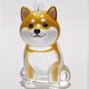 Pet Hair Collector Keepsakes Keychain Box For Dog Cats And Small Animals Furs Storage Container With Easy To Open Design