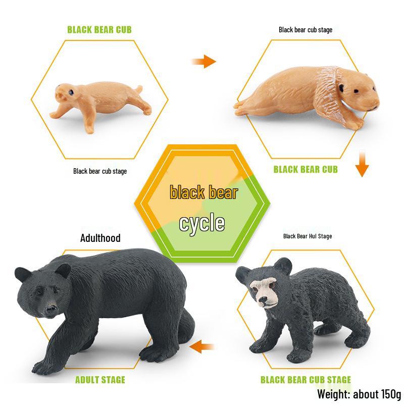 Animal Growth Cycle Models: Chicken, Duck, Goose, Butterfly, Turtle, Frog Montessori Teaching Figurines