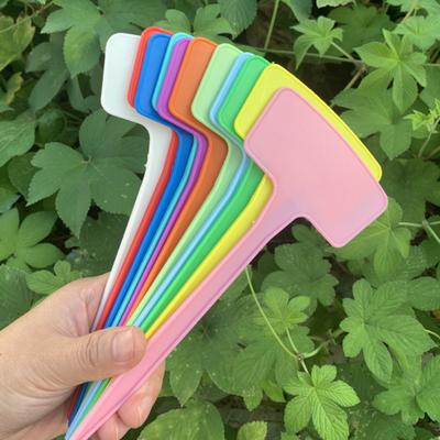 Wygodne, odporne na zużycie tabliczki roślinne Przydatne plastikowe przywieszki w kształcie litery T