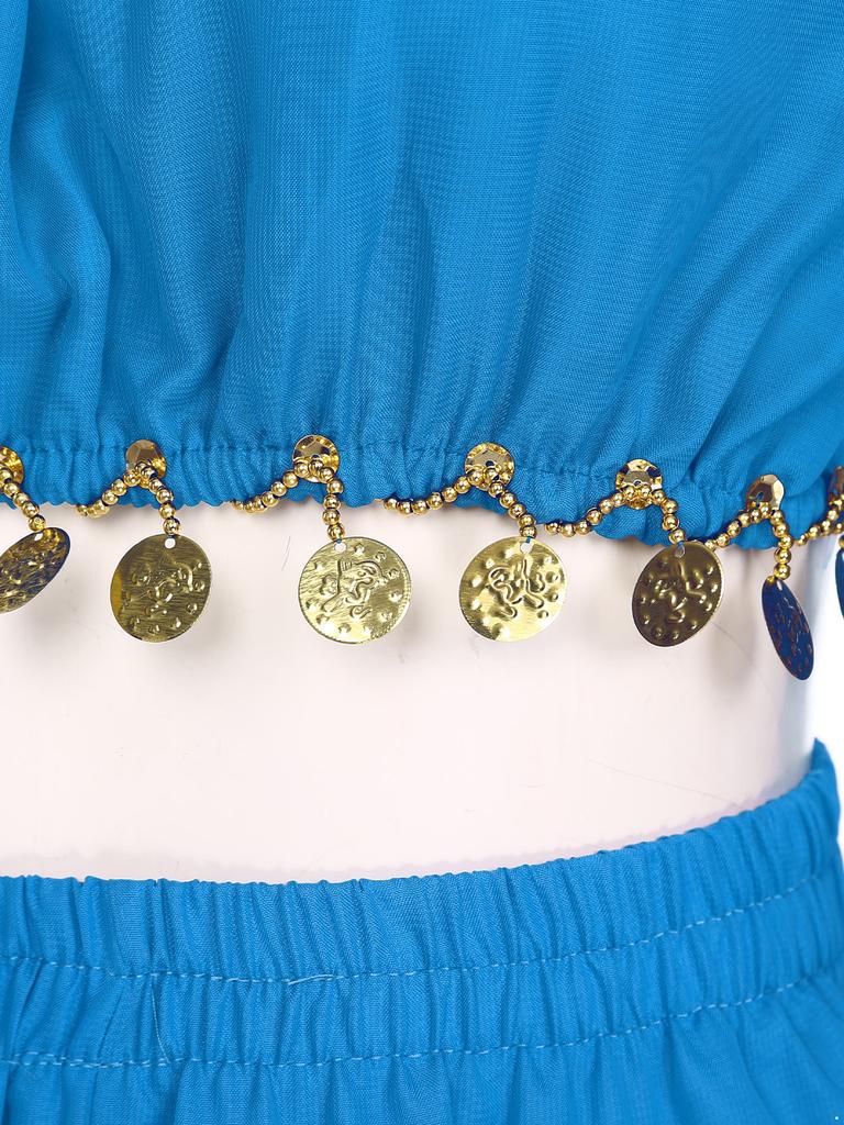 Womens Sequined Beaded Belly Dance Crop Top Long Puff Sleeve Split Halloween Party Costume