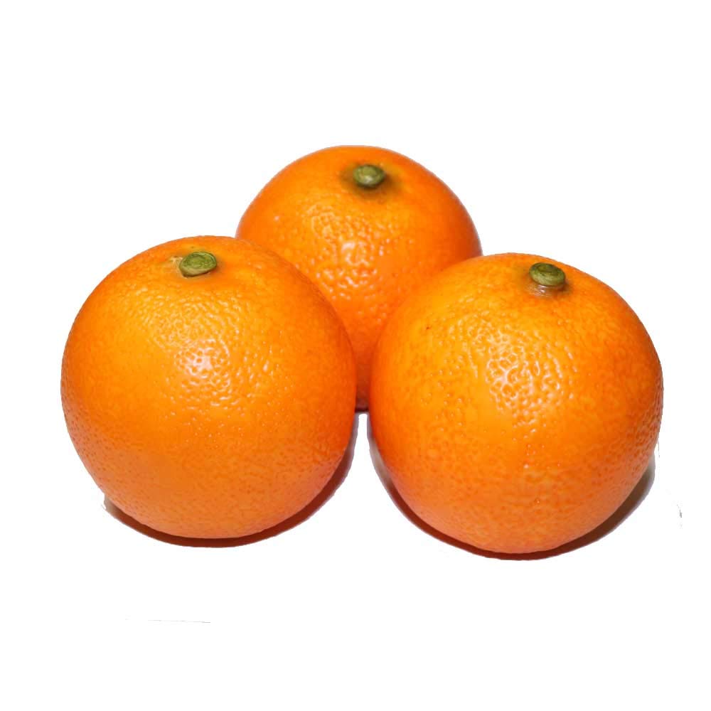 

GuCra Orange Реалистичная модель фрукта Упаковка из 3 образцов еды (EX)