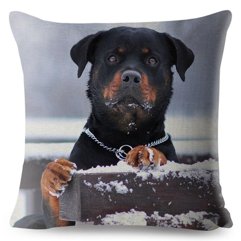 rottweiler cushion
