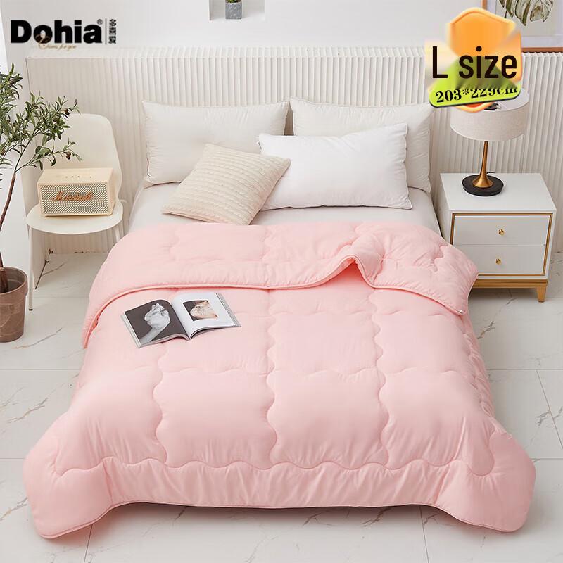 

Dohia All-Season Soft & Fluffy Quilt