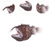 Angler Fish Figures Simulated Marine Animal Toy Model Small Realistic Goosefish for Birthday Gift
