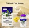 Jinshijian Blueberry DHA & Lutein Gummy – 30 Individual Portable Packs, 60g for Kids & Adults