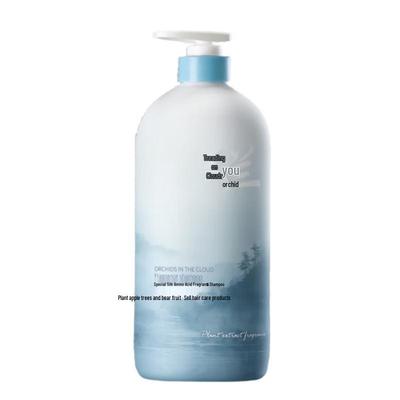 Champôs e condicionadores para cabelo – Shampoos