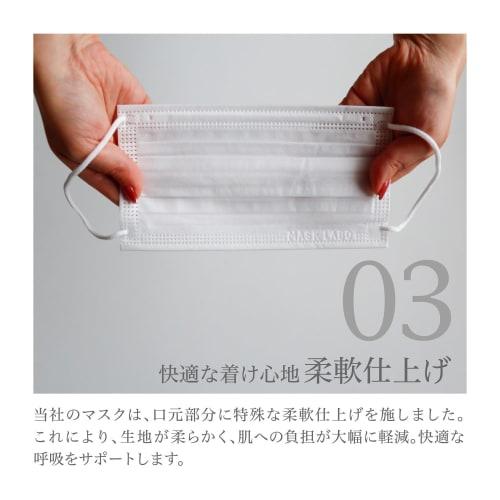MASK LABO [100-count X 3 Boxes] Nonwoven 3-ply Mask, Regular Size, Large Capacity, Omega Pleats, 175mm X 95mm, JIS Standard, General Use, Nationwide I