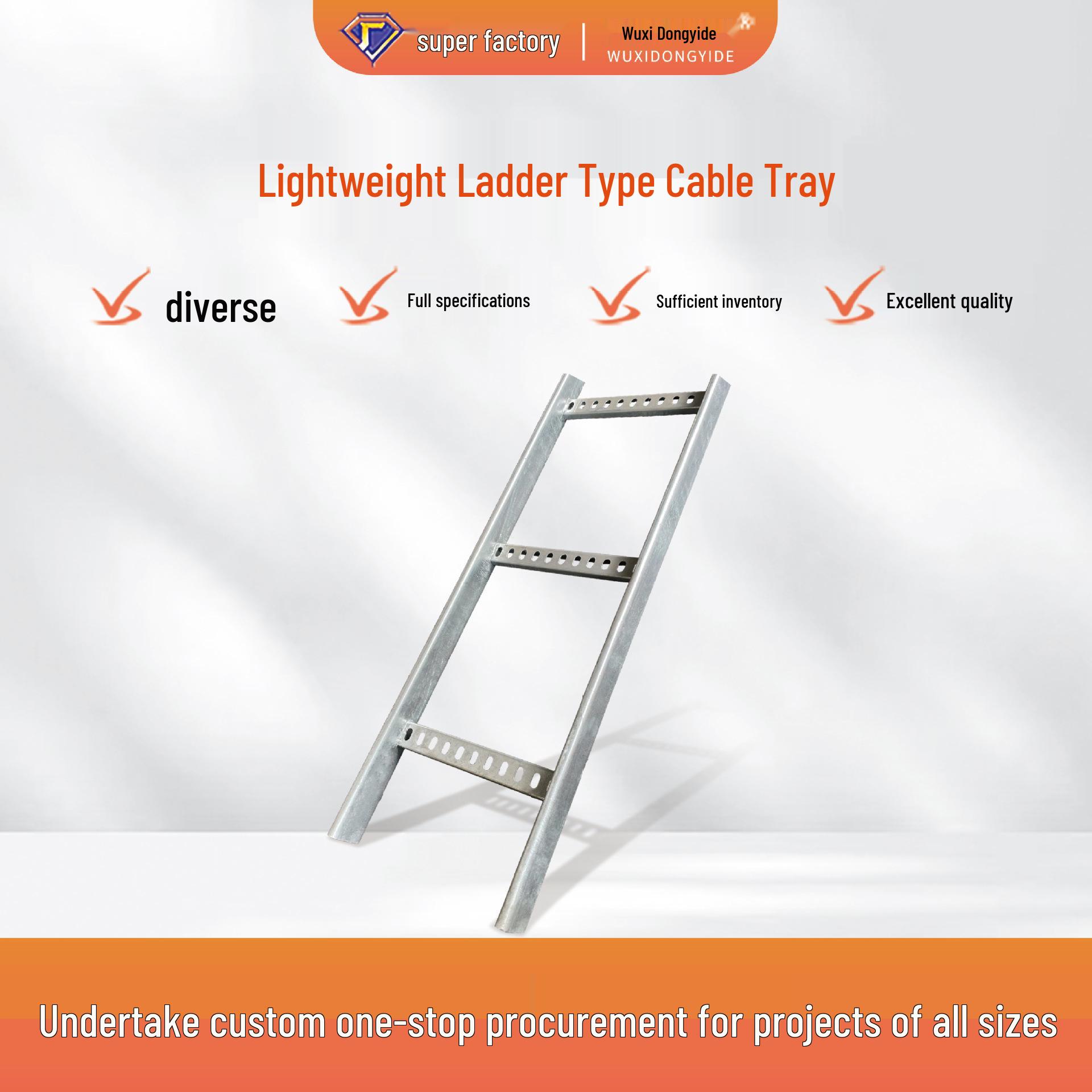 Lightweight Fireproof Galvanized Ladder Cable Tray & Trunking 100*50*1.0