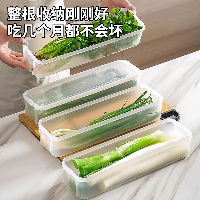 Coriander scallion storage box, refrigerator fresh-keeping box, coriander whole noodles, egg preparation, fresh-keeping and sealed kitchen storage