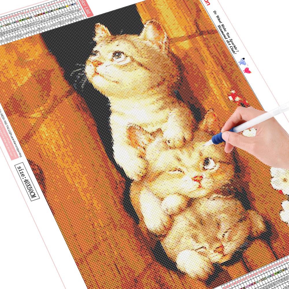 

DIY 5D Алмазная картина Животное котенок Полная круглая Алмазная вышивка Вышивка Алмаз 20*30 cm