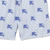 Burberry SS23 Beach Shorts Men's Blue 80722481