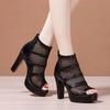 Fashion High-heeled thick-heeled sandals for women 2025 summer new versatile mesh fish-mouth shoes waterproof platform hollow Roman