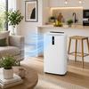 4-in-1 Portable Air Conditioner - 12,000 Btu - Heater - Dehumidifier