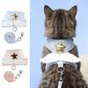 Gatos – Colares e correias para gatos