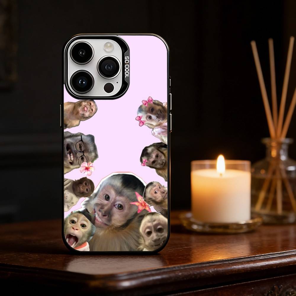 Monkey abstract Funny Phone Case For iPhone 17,16,15,14,13,12,11,Pro Max,Plus Candy Silver Cover