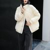Daunenjacke Damen Kurzstil 2024 Neu Winter Stehkragen Warm Weiße Entendaunen