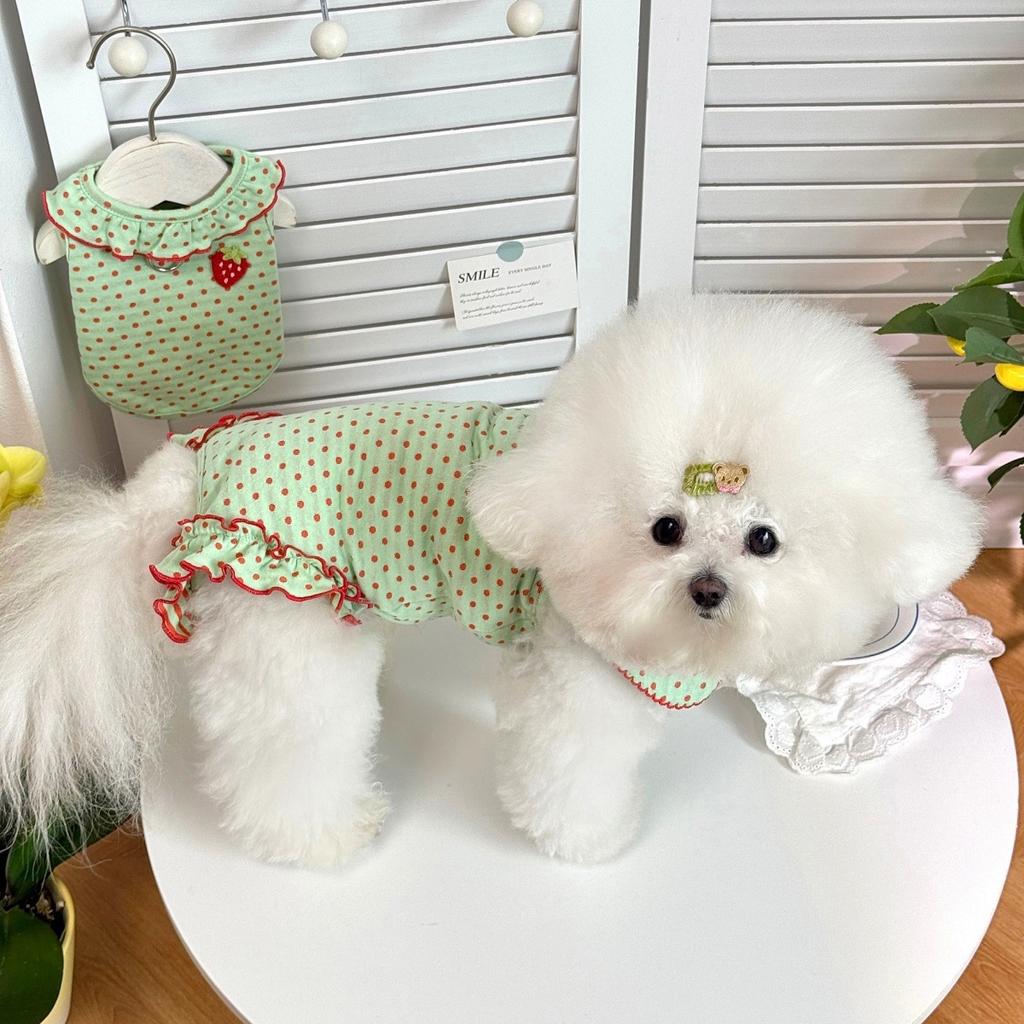 Spring New Style Pet Clothes - Anti-chill and Belly-protective Pet Clothes for Small Dogs with Lap Collars and Four-legged Dogs.