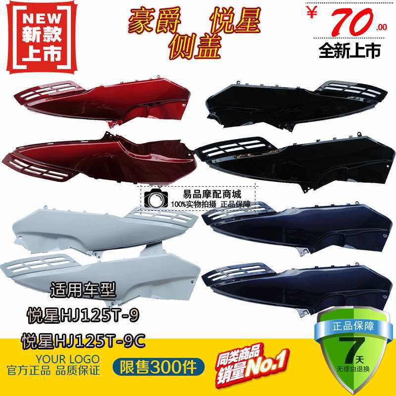 Yuexing Scooter HJ125T-9/9C/9D Side Cover & Decorative Panel Violet Right 9