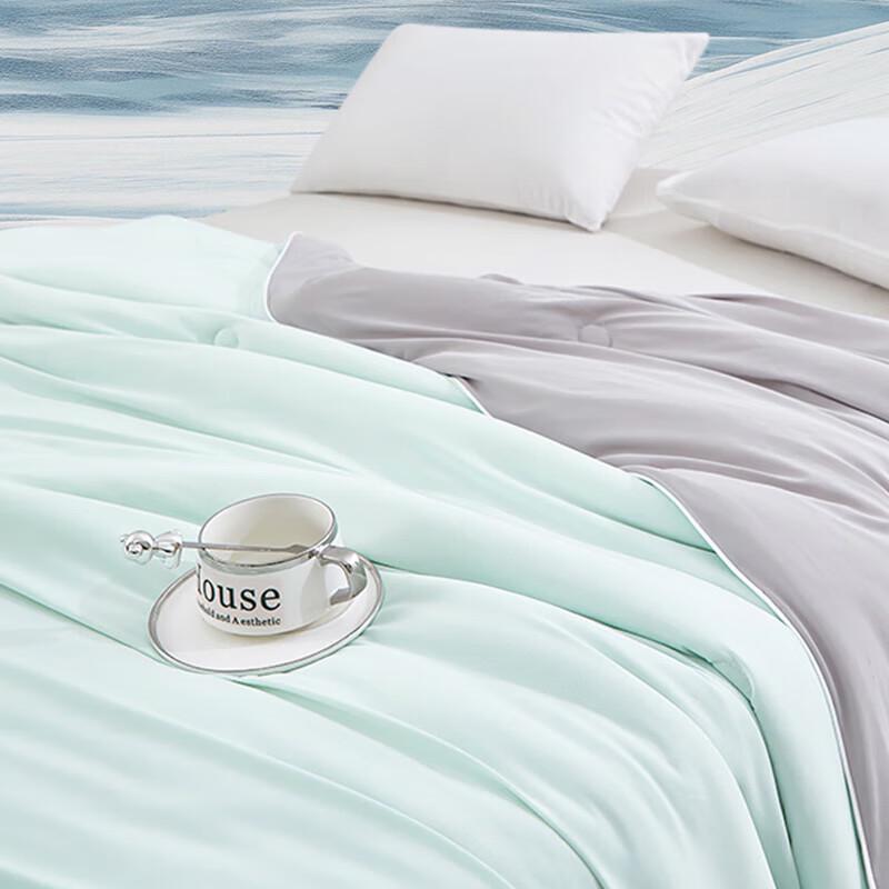 Hongxiushifang Breezy Cool Summer Quilt