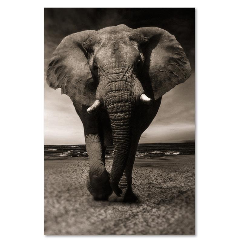 Canvas Print, Elephant XXL On the Savannah
