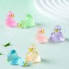 10 / 20 peças Patos Mini de Resina Luminosos Brilham no Escuro Ganso Figuras Minúsculas Estátuas de Animais Fofos Ideais para FAÇA VOCÊ MESMO Jardim de Fadas Micro Paisagem