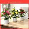Chrysanthemum Artificial Flower Pot With Plastic And Silk Material For Home Decor And Wedding Use
