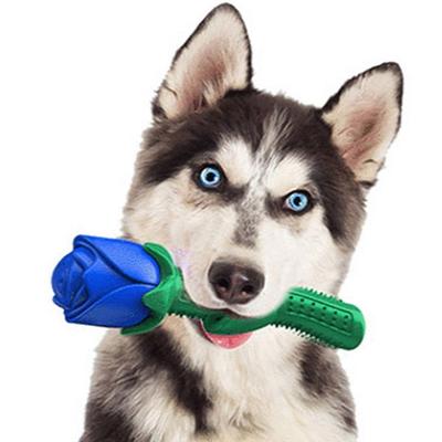 Dingdongpet Dog Rose Toy 17 X 5 Cm, Blue, 1 Piece