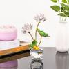 Kertari Crystal Lotus Artificial Flower Interior Ornament Lucky Charm K9 Crystal Glass Lotus Flower Metal Lotus Leaf Feng Shui Item Everlasting Flower