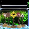 Micro Landscape Warning Shark Sighted Sign Aquarium Ornaments Fish Tank Decoration Tree Stool