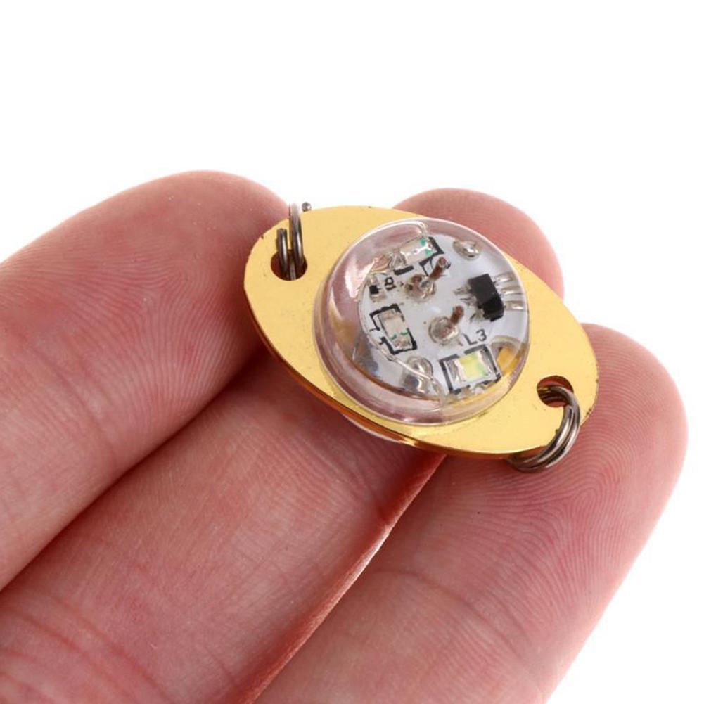 Fishing Lure Led Night Light Battery Powered Glow Underwater Lamp Fishing Eye Fish Fish Led Attracting Light Bait Underwate