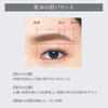 Esprique W Eyebrow Styler (Pencil) (Refill) BR300 Brown 0.1g 1.0 pieces